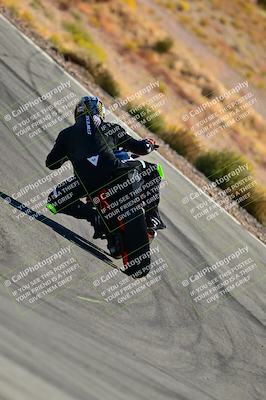 media/Oct-24-2025-2WTD (Fri) [[491f36c2bf]]/B Group/Session 3 (Turn 5)/